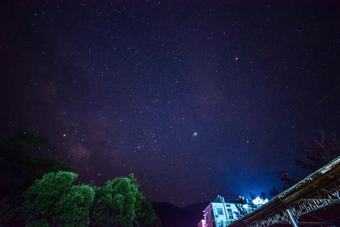 空闲农场